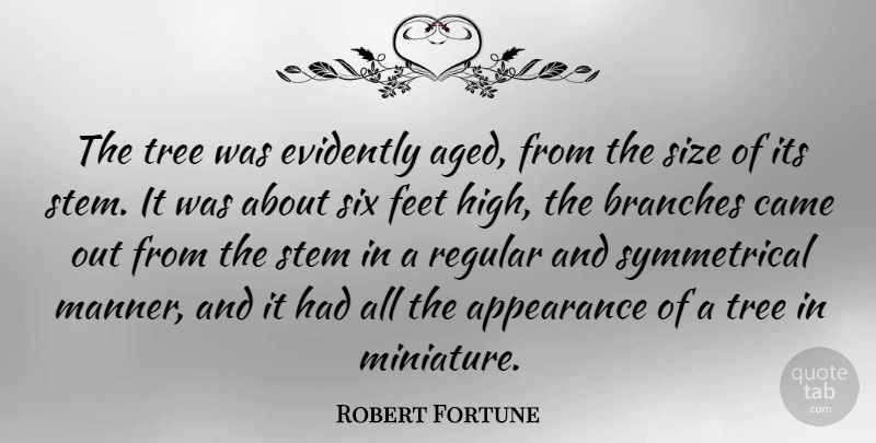 Robert Fortune Quote About Branches, Came, Regular, Six, Size: The Tree Was Evidently Aged...