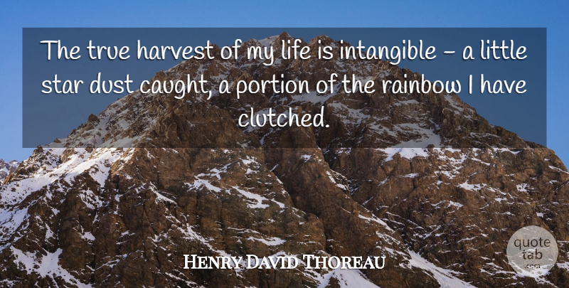 Henry David Thoreau Quote About Stars, Intangible Quality, Dust: The True Harvest Of My...