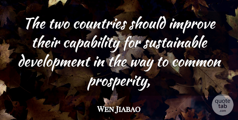 Wen Jiabao Quote About Capability, Common, Countries, Improve: The Two Countries Should Improve...