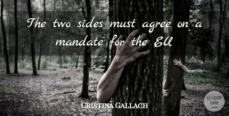Cristina Gallach Quote About Agree, Eu, Mandate, Sides: The Two Sides Must Agree...