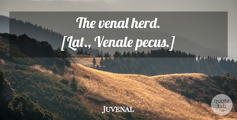 Juvenal Quote About Herds: The Venal Herd Lat Venale...