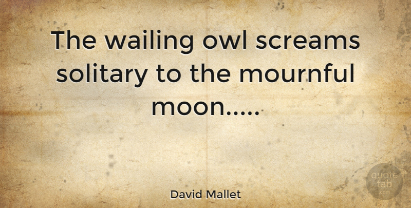 David Mallet Quote About Moon, Owl, Scream: The Wailing Owl Screams Solitary...