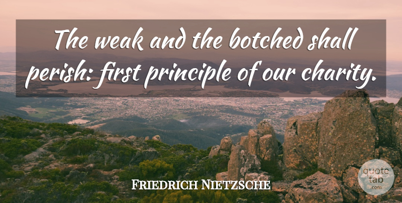 Friedrich Nietzsche Quote About Charity, Firsts, Principles: The Weak And The Botched...