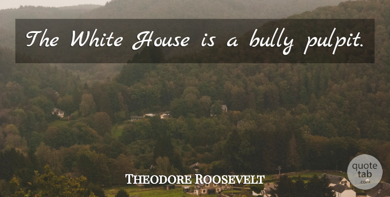 Theodore Roosevelt Quote About White, Bully, Presidential: The White House Is A...