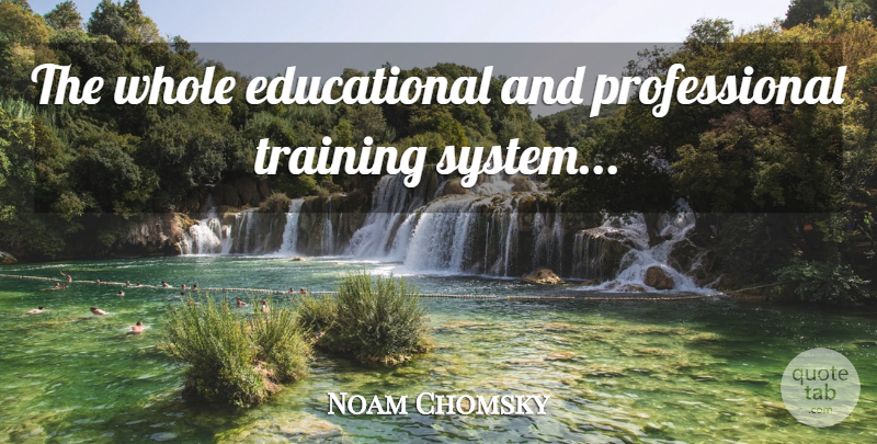 Noam Chomsky Quote About Educational, Training, Problems In School: The Whole Educational And Professional...