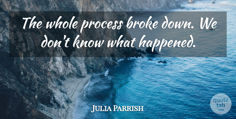 Julia Parrish Quote About Broke, Process: The Whole Process Broke Down...