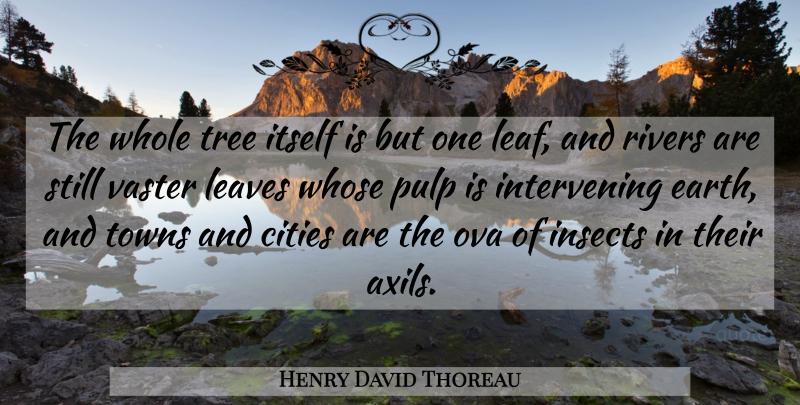 Henry David Thoreau Quote About Nature, Cities, Rivers: The Whole Tree Itself Is...