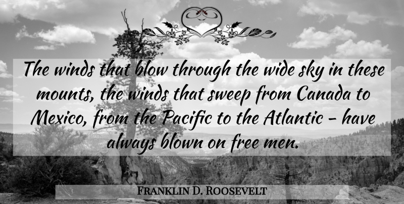 Franklin D. Roosevelt Quote About 4th Of July, Patriotic, Blow: The Winds That Blow Through...