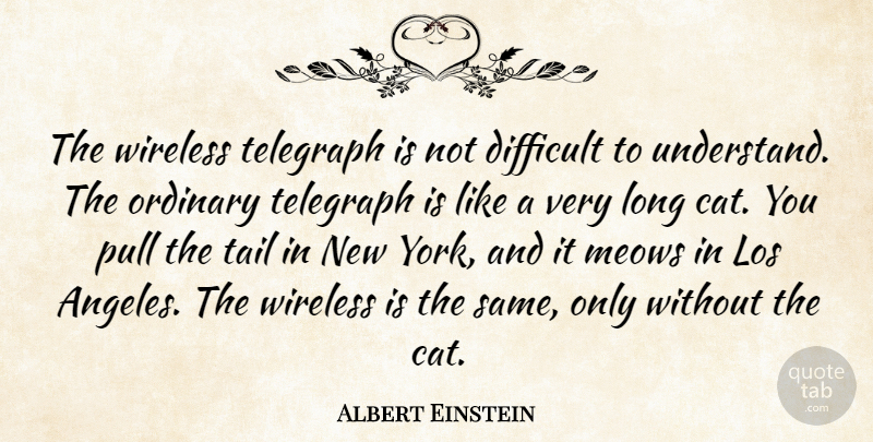 Albert Einstein Quote About New York, Cat, Long: The Wireless Telegraph Is Not...