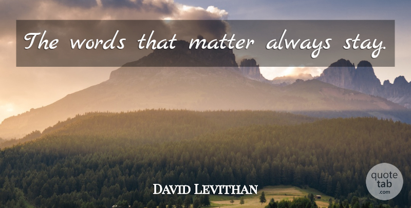 David Levithan Quote About Matter, Realm Of Possibility: The Words That Matter Always...