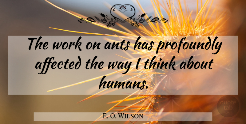 E. O. Wilson Quote About Thinking, Ants, Way: The Work On Ants Has...