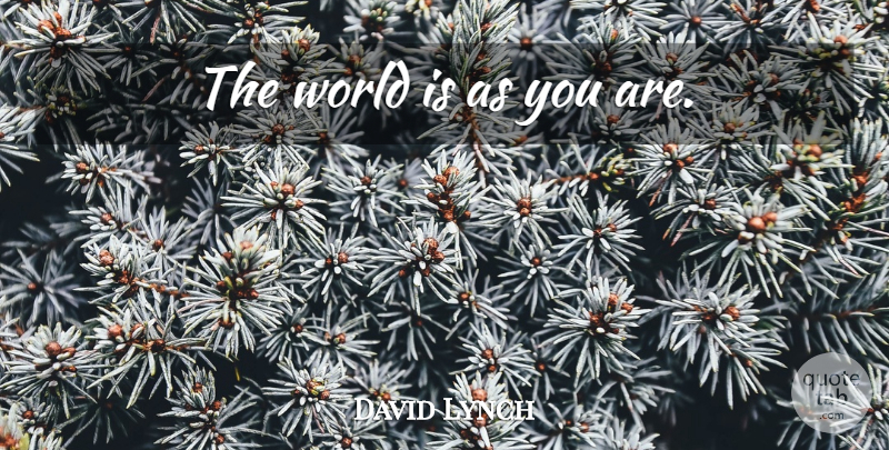 David Lynch Quote About Law Of Attraction, World, Attraction: The World Is As You...