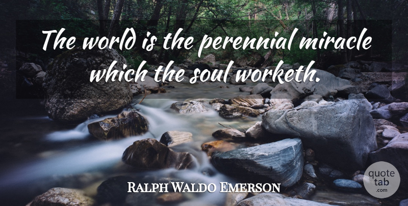 Ralph Waldo Emerson Quote About Miracle, Soul, World: The World Is The Perennial...