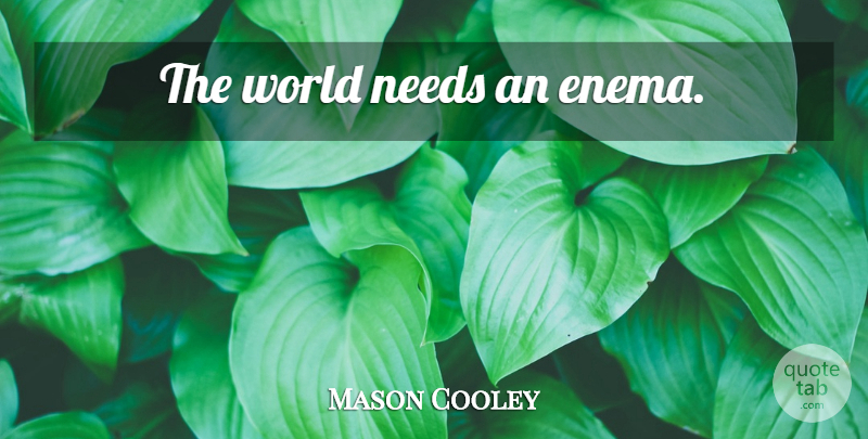 Mason Cooley Quote About Needs, World: The World Needs An Enema...