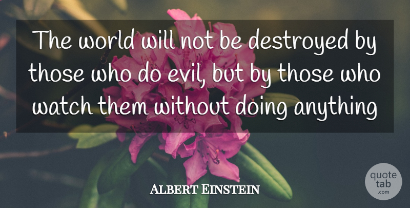 Albert Einstein Quote About Evil, Watches, World: The World Will Not Be...
