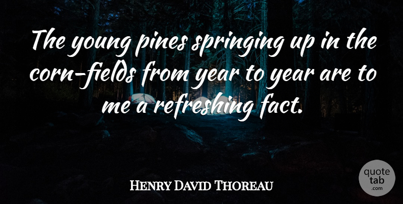 Henry David Thoreau Quote About Nature, Spring, Years: The Young Pines Springing Up...
