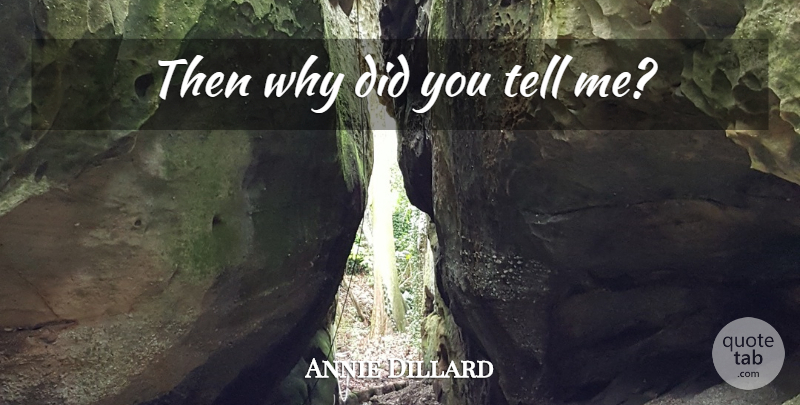 Annie Dillard Quote About Atheist, Religion, Atheism: Then Why Did You Tell...