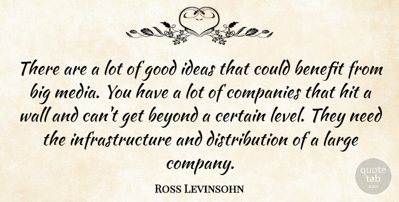 Ross Levinsohn Quote About Benefit, Beyond, Certain, Companies, Good: There Are A Lot Of...