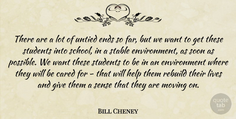 Bill Cheney Quote About Cared, Ends, Environment, Help, Lives: There Are A Lot Of...