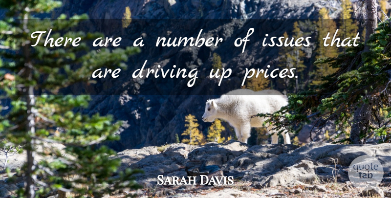 Sarah Davis Quote About Driving, Issues, Number: There Are A Number Of...