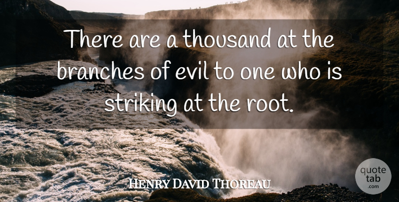 Henry David Thoreau Quote About Branches, Evil, Striking, Thousand: There Are A Thousand At...