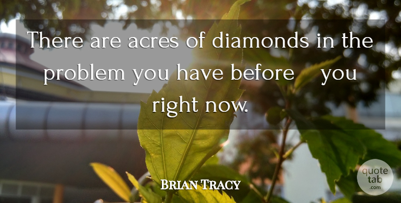 Brian Tracy Quote About Success, Acres, Problem: There Are Acres Of Diamonds...