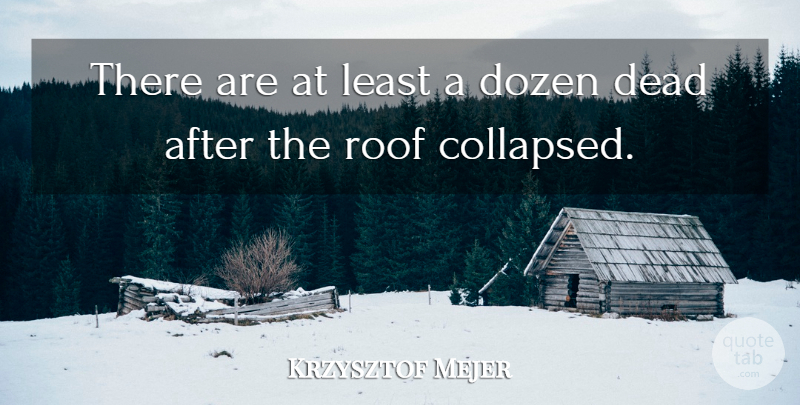 Krzysztof Mejer Quote About Dead, Dozen, Roof: There Are At Least A...