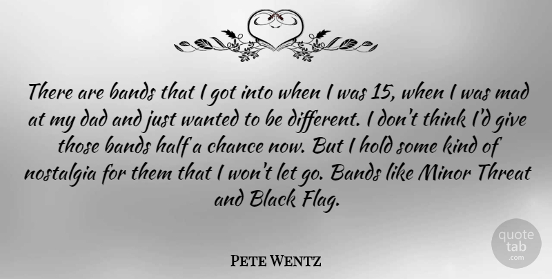 Pete Wentz Quote About Bands, Chance, Dad, Half, Hold: There Are Bands That I...