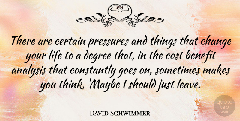 David Schwimmer Quote About Thinking, Cost Benefit Analysis, Make You Think: There Are Certain Pressures And...