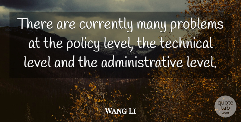 Wang Li Quote About Currently, Level, Policy, Problems, Technical: There Are Currently Many Problems...