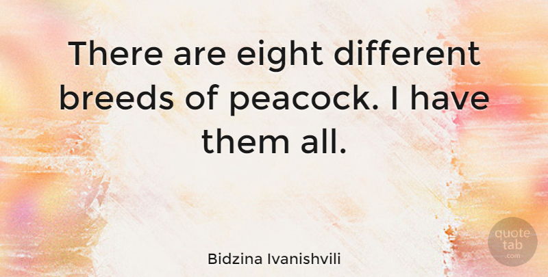 Bidzina Ivanishvili Quote About Eight, Different, Peacock: There Are Eight Different Breeds...