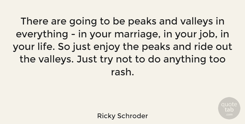 Ricky Schroder Quote About Jobs, Trying, Valleys: There Are Going To Be...
