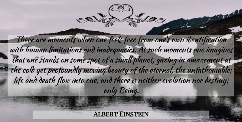Albert Einstein Quote About Moving, Destiny, Life And Death: There Are Moments When One...