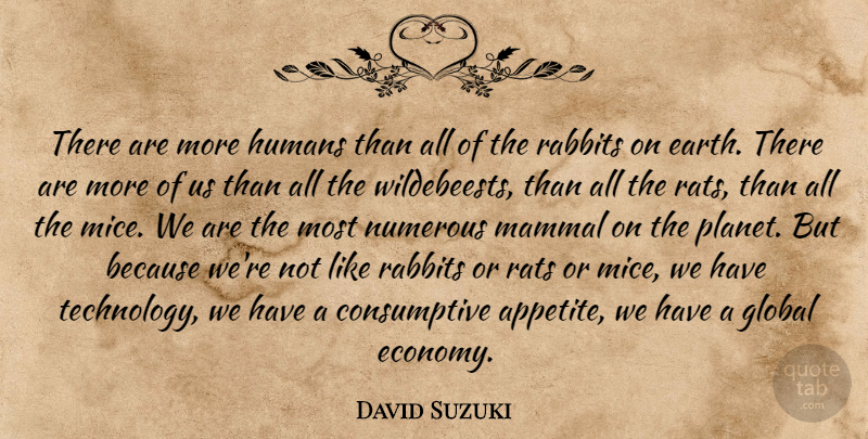 David Suzuki Quote About Global, Humans, Mammal, Numerous, Rabbits: There Are More Humans Than...