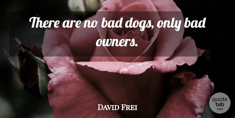 David Frei Quote About Bad: There Are No Bad Dogs...