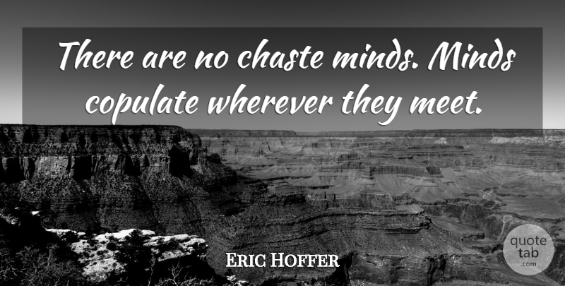 Eric Hoffer Quote About Mind, Chastity, Chaste: There Are No Chaste Minds...