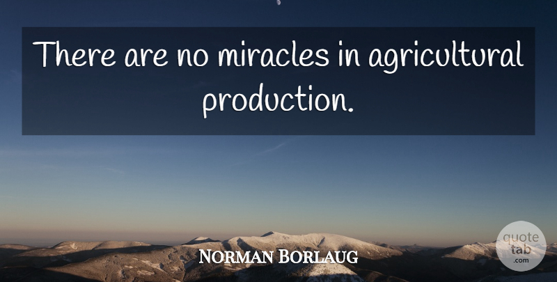 Norman Borlaug Quote About Agriculture, Miracle, Productions: There Are No Miracles In...