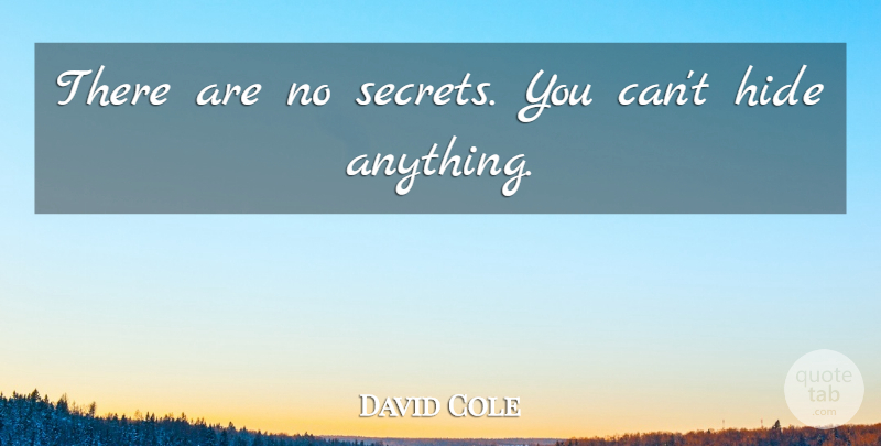 David Cole Quote About Hide, Secrets: There Are No Secrets You...