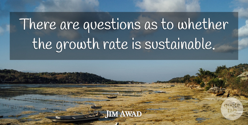 Jim Awad Quote About Growth, Questions, Rate, Whether: There Are Questions As To...