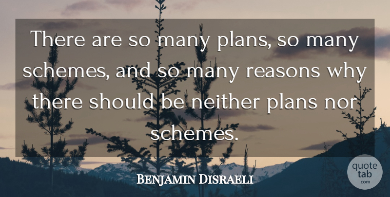 Benjamin Disraeli Quote About Reason Why, Schemes, Should: There Are So Many Plans...