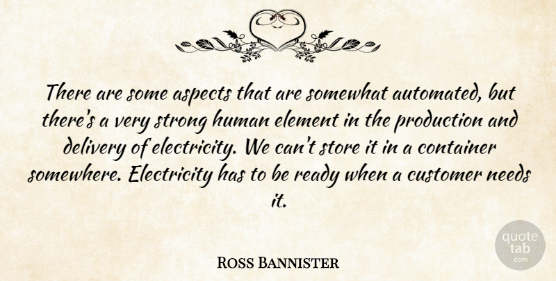 Ross Bannister Quote About Aspects, Container, Customer, Delivery, Electricity: There Are Some Aspects That...
