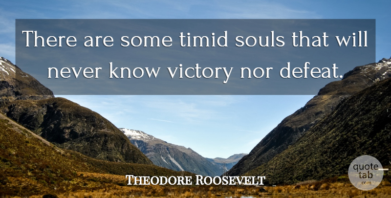 Theodore Roosevelt Quote About Perseverance, Soul, Victory: There Are Some Timid Souls...