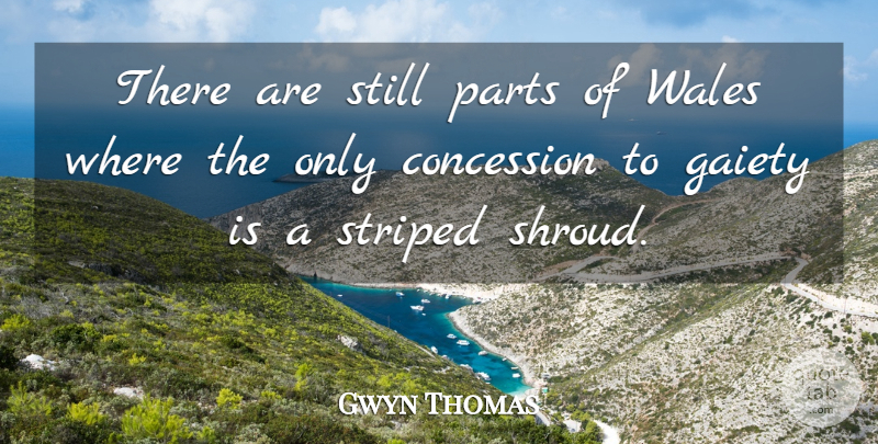 Gwyn Thomas Quote About Concession, Gaiety, Parts, Wales: There Are Still Parts Of...