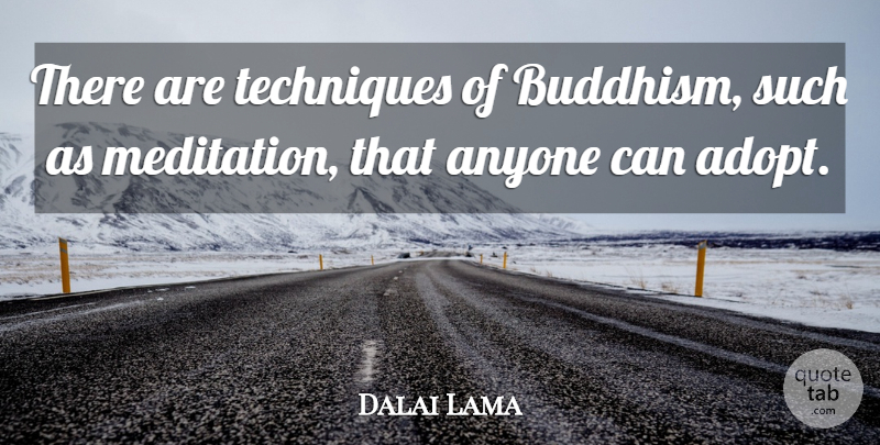 Dalai Lama Quote About Buddhism, Meditation, Technique: There Are Techniques Of Buddhism...