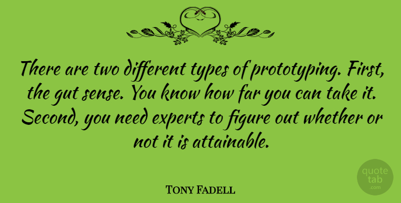 Tony Fadell Quote About Experts, Figure, Types, Whether: There Are Two Different Types...