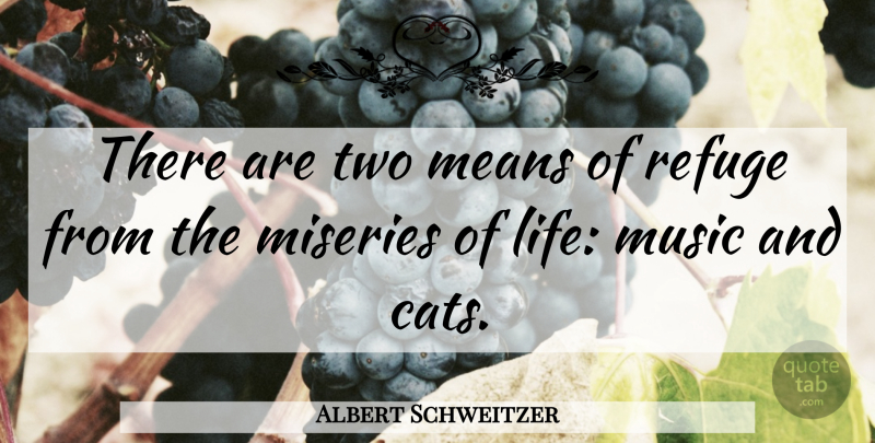 Albert Schweitzer Quote About Love, Funny, Music: There Are Two Means Of...