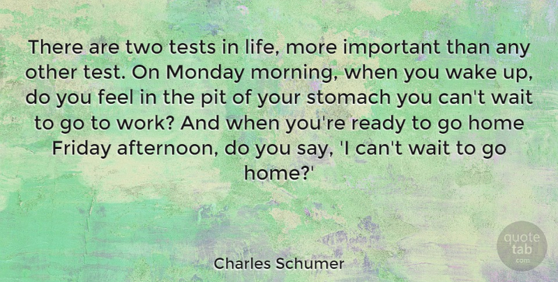 Charles Schumer Quote About Friday, Monday, Morning: There Are Two Tests In...