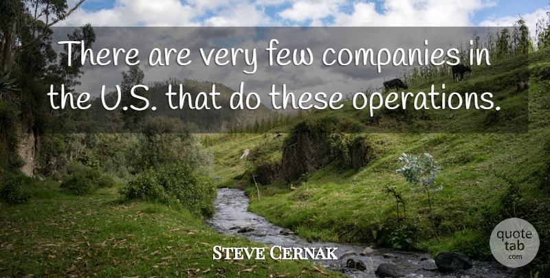 Steve Cernak Quote About Companies, Few: There Are Very Few Companies...