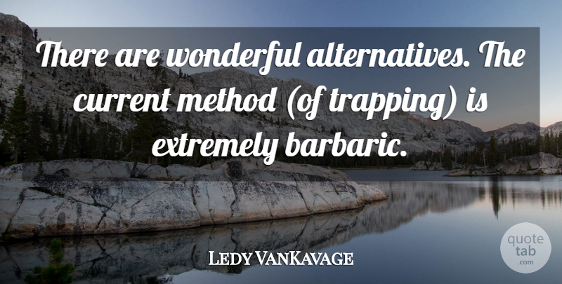 Ledy VanKavage Quote About Current, Extremely, Method, Wonderful: There Are Wonderful Alternatives The...