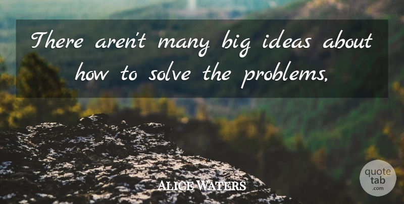 Alice Waters Quote About Ideas, Solve: There Arent Many Big Ideas...